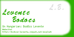 levente bodocs business card